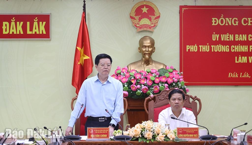 Ủy viên Trung ương Đảng, Phó Thủ tướng Chính phủ Mai Văn Chính phát biểu tại buổi làm việc.