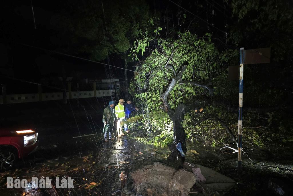Lực lượng chức năng xã Ea Knốp dọn dẹp cây ngã đổ bảo đảm giao thông thông suốt.