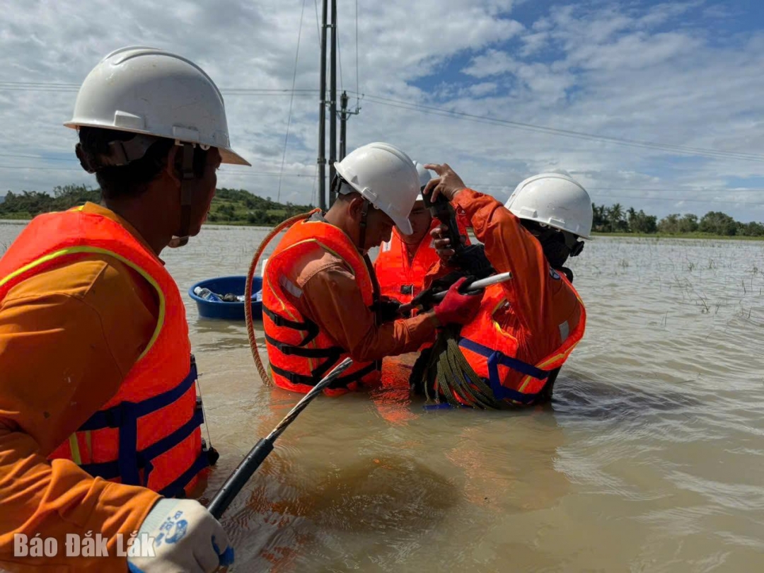 Công nhân ngâm mình dưới dòng nước để khắc phục lưới điện tại xã Tuy An Bắc. 