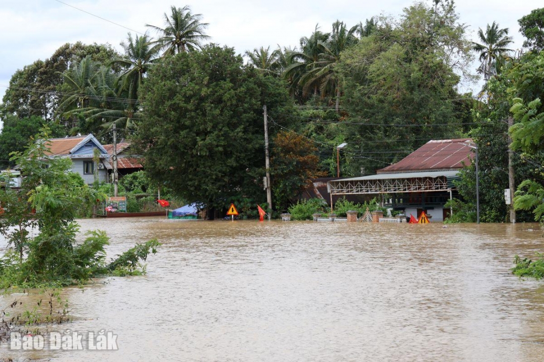 Nhiều hộ dân trên địa bàn buôn Trí bị ngập sâu do lũ.