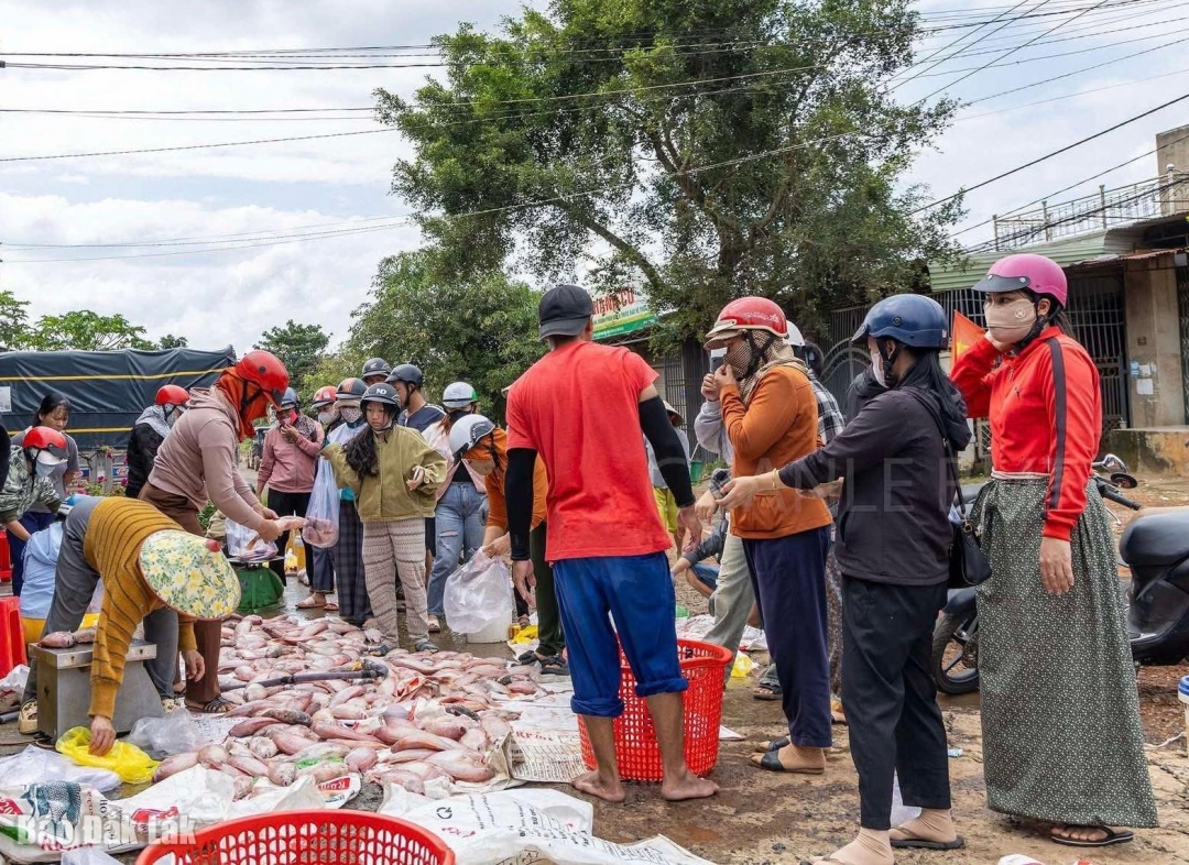 Người dân xử lý