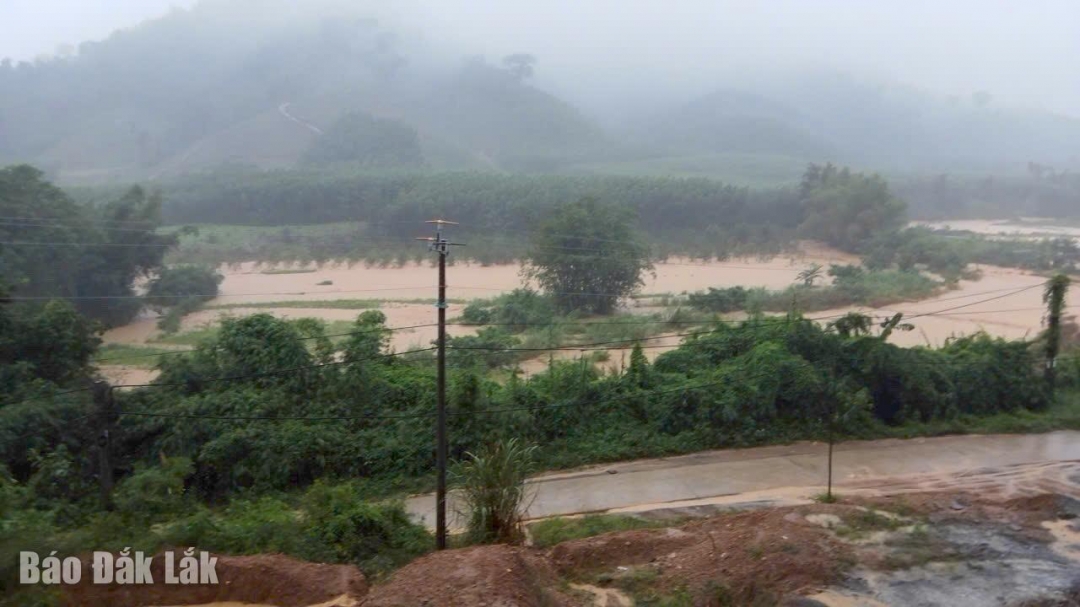 Nhiều diện tích hoa màu của bà con xã Krông Á ngập trong nước.