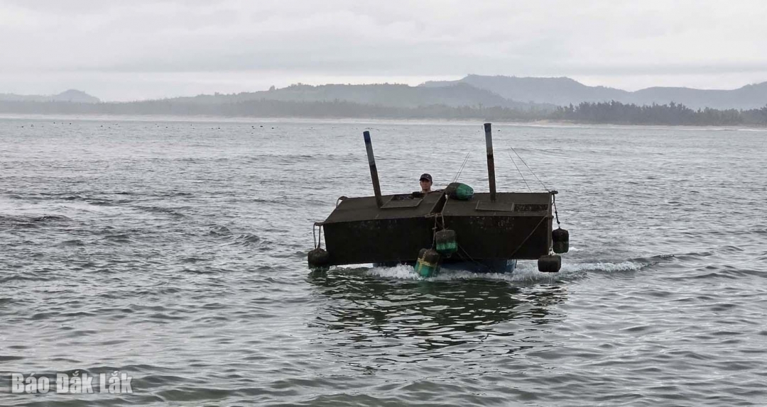 Người nuôi tôm hùm ở Ô Loan chuyển lồng nuôi tôm hùm về bờ.