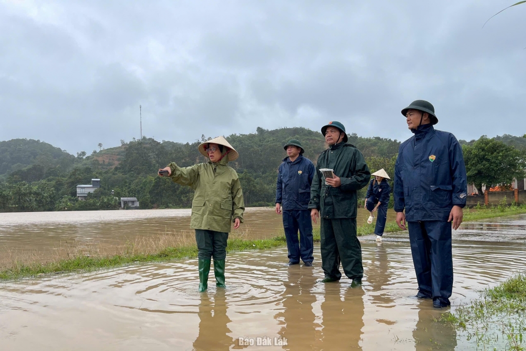 Phó Bí thư Tỉnh ủy Huỳnh Thị Chiến Hòa kiểm tra 