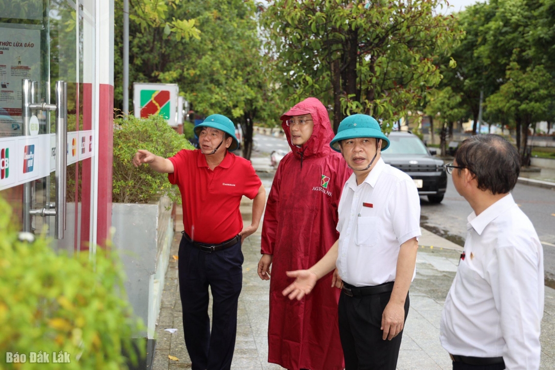 Giám đốc Agribank chi nhánh Phú Yên Phan Thông Thái (thứ hai từ phải qua) chỉ đạo cán bộ chi nhánh rà soát, đảm bảo an toàn tài sản trước bão số 13.