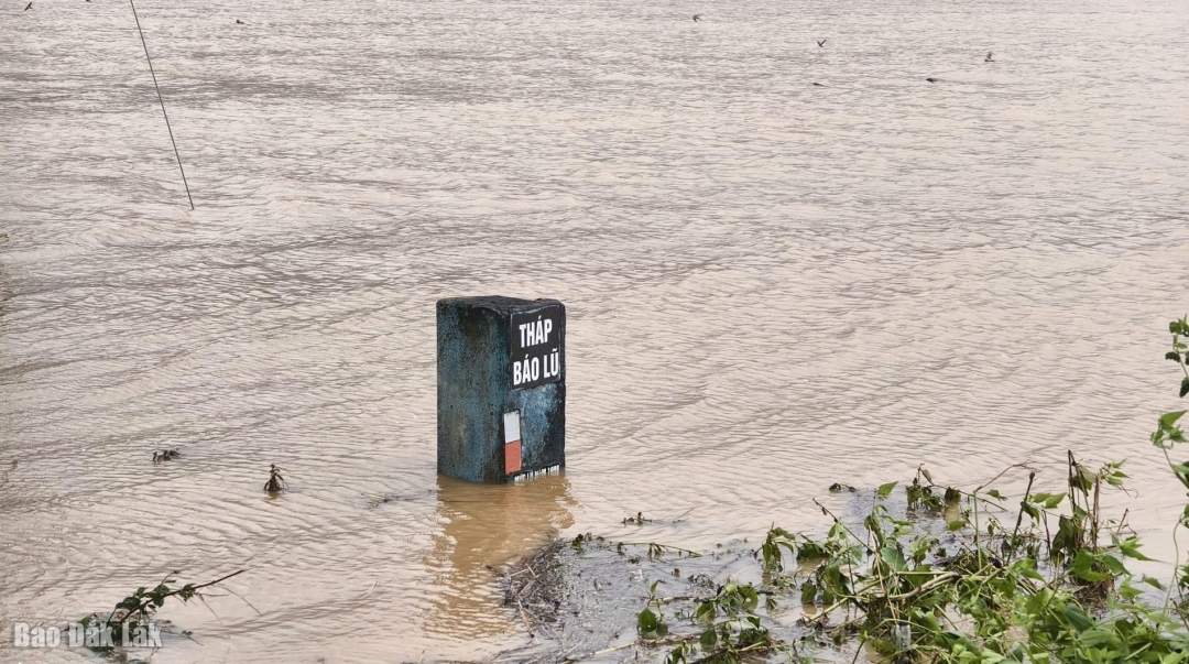 Tháp báo lũ tại đường vào thôn 28, 29, 30 (xã Krông Bông) đã vượt qua mực nước lũ năm 1998.