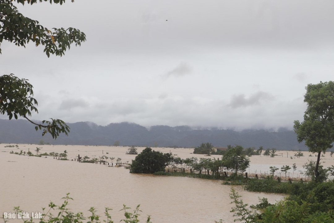 Nước lũ lên cao tại