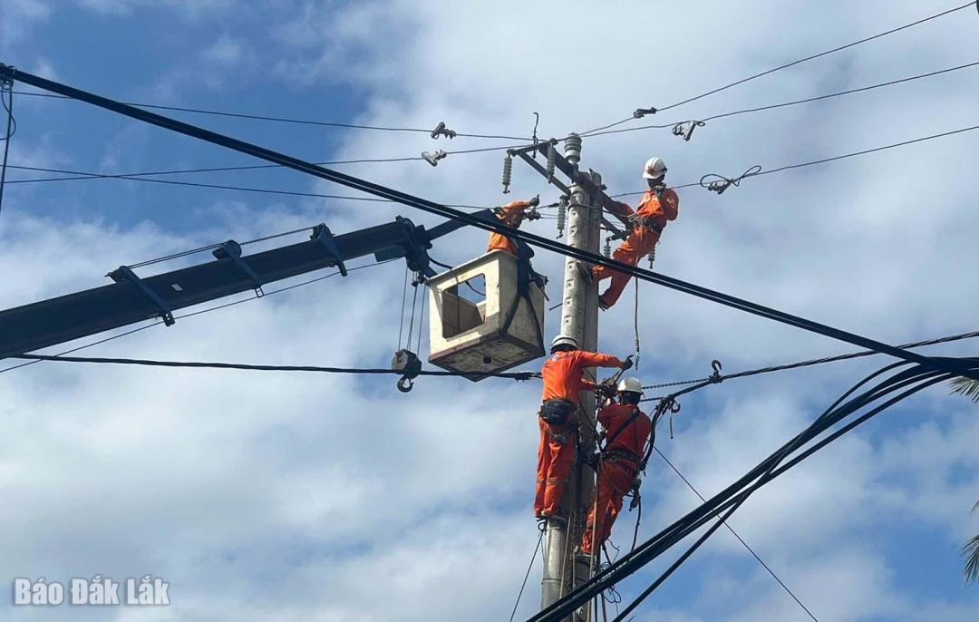 Công nhân treo mình trên đường dây để sửa chữa lưới.