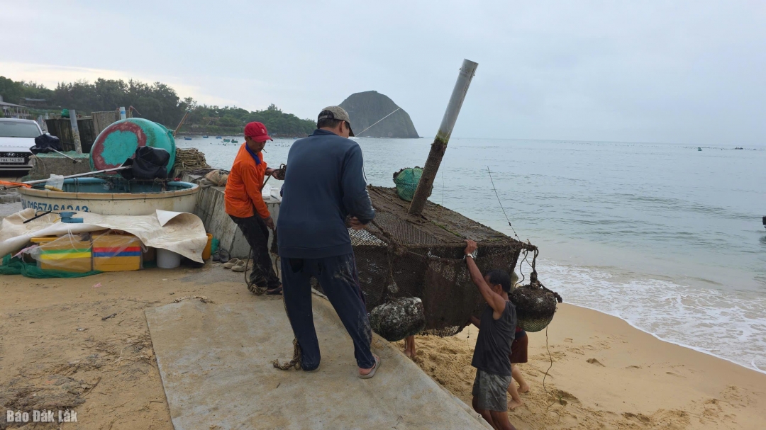 Ngư dân đưa lồng nuôi đến nơi an toàn.