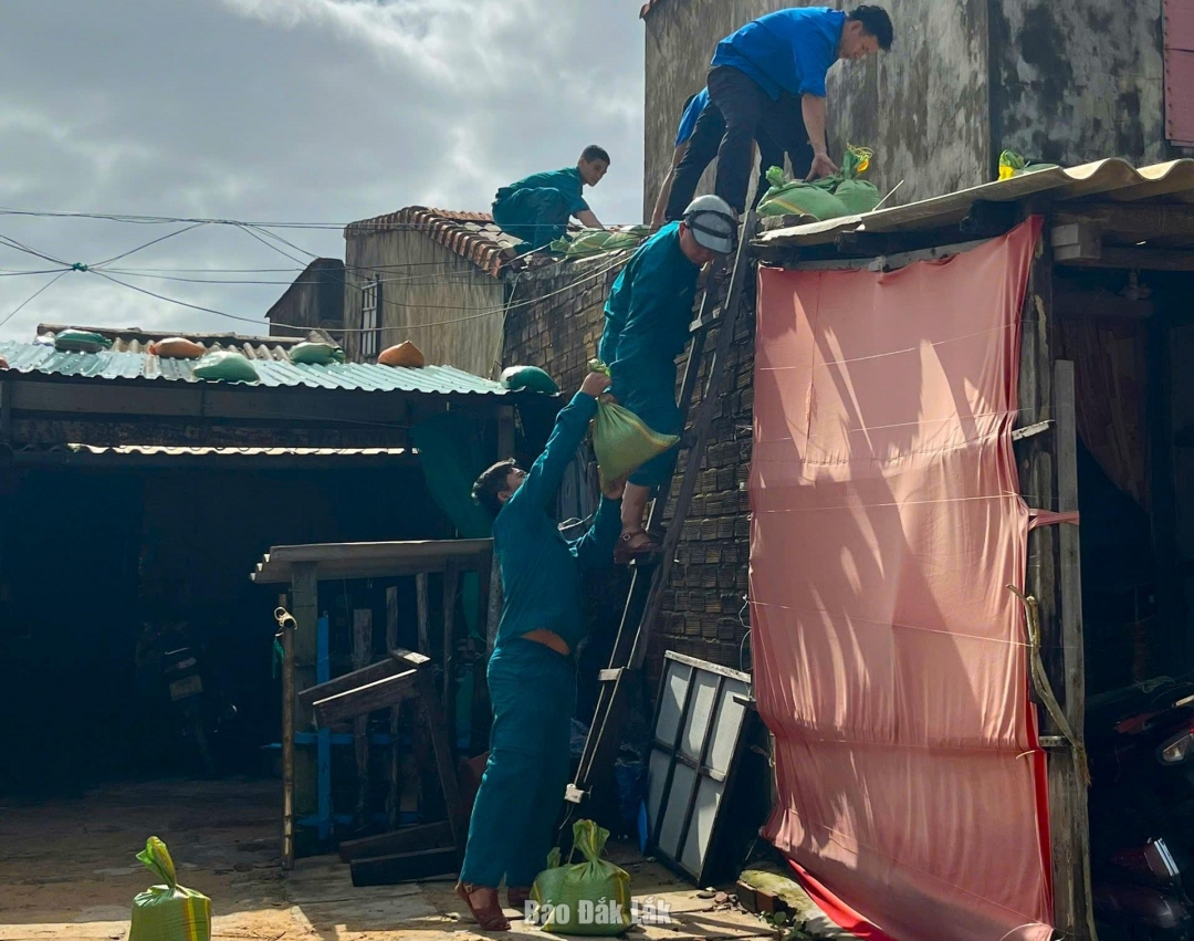 Đoàn thanh niên và lực lượng dân quân tự vệ phường Tuy Hòa giúp dân chằng chống mái nhà. Ảnh: Tuyết Hương