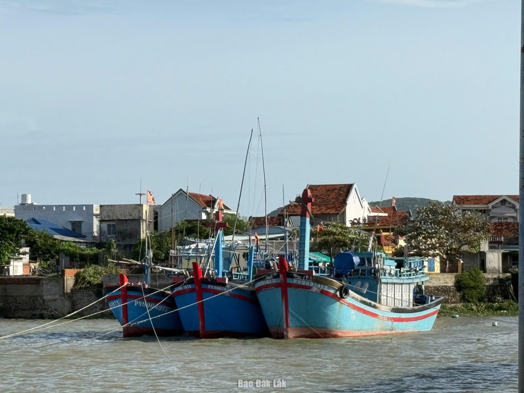 Tàu thuyền của ngư dân xã Tuy An Đông đã được neo đậu tại bờ an toàn trước bão số 13. Ảnh: Thùy Thảo