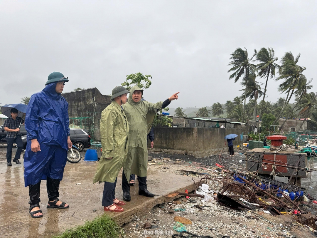 Phó Bí thư Tỉnh ủy Đỗ Hữu Huy với Phó Chủ tịch UBND tỉnh Đào Mỹ kiểm tra khu neo đậu tàu thuyền tại phường Sông Cầu. Ảnh: Hồ Như
