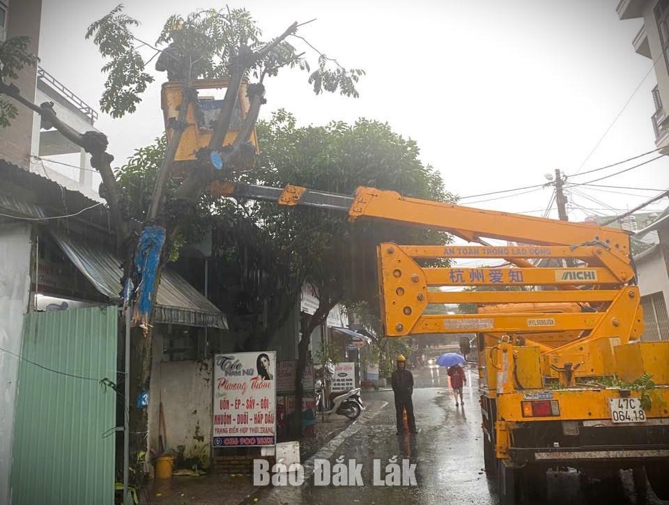 Công nhân Công ty Cổ phần Đô thị và Môi trường Đắk Lắk cắt tỉa cây xanh.