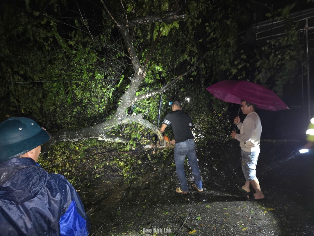 Cây gãy đổ trên Quốc lộ 26 đoạn qua xã Ea Knốp.