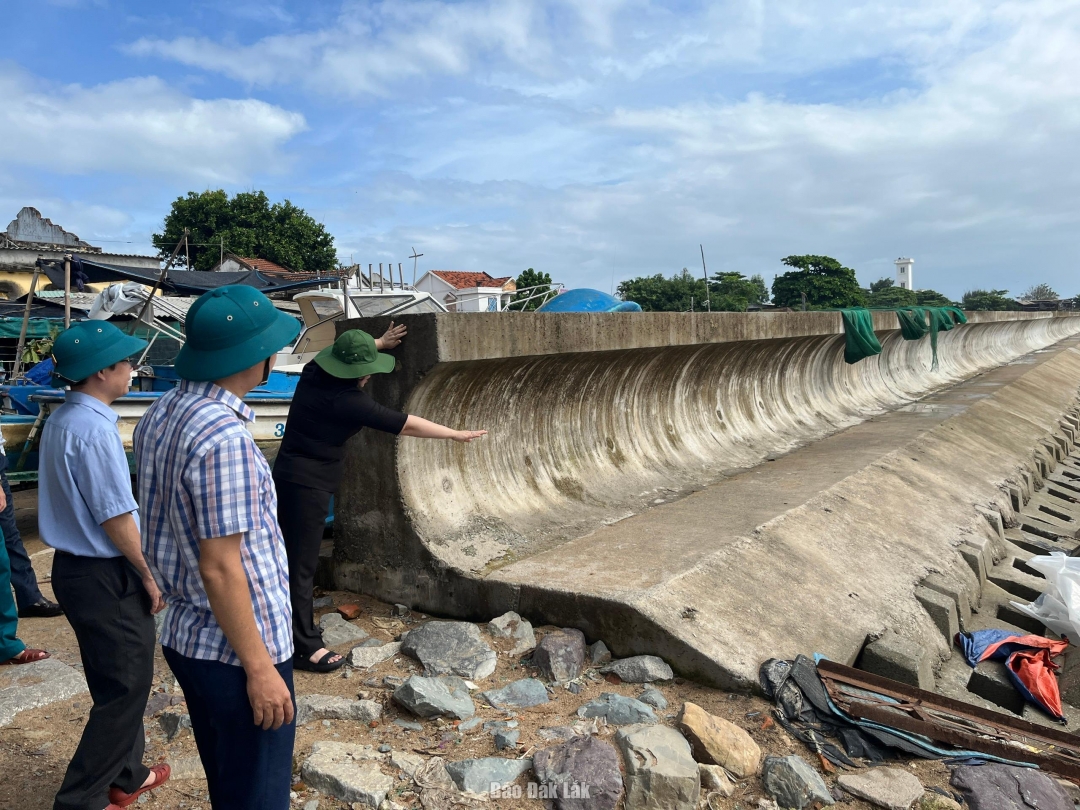 Lãnh đạo phường Tuy Hoà kiểm tra bộ kè cảng cá khu phố 1 Trần Hưng Đạo. Ảnh: Minh Duyên
