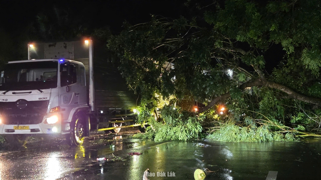 Cây gãy đổ chắn ngang Quốc lộ 1 đoạn qua phường Sông Cầu.