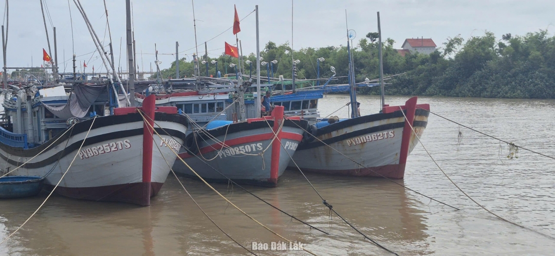 Ngư dân phường Tuy Hòa đưa tàu thuyền về neo đậu dọc sông Chùa. Ảnh: Tuyết Hương
