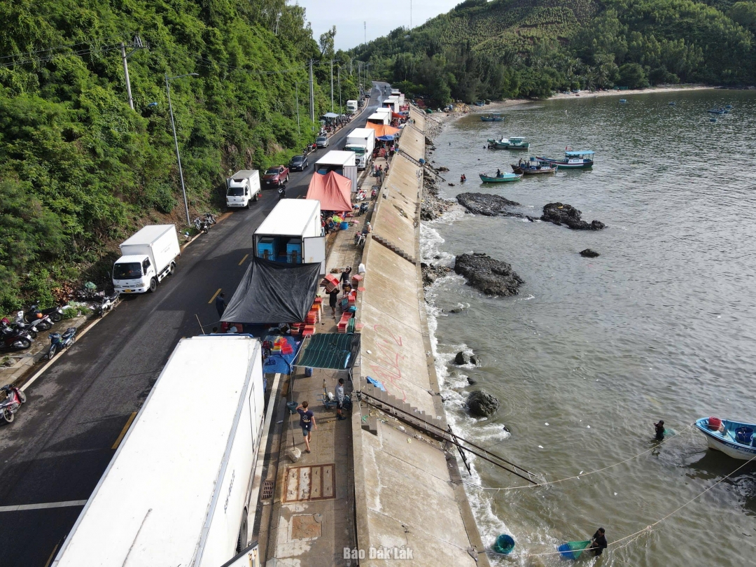 Tấp nập xe đậu bốc dễ tôm hùm trước khi bão số 13 vào bờ. Ảnh: Đặng Dự