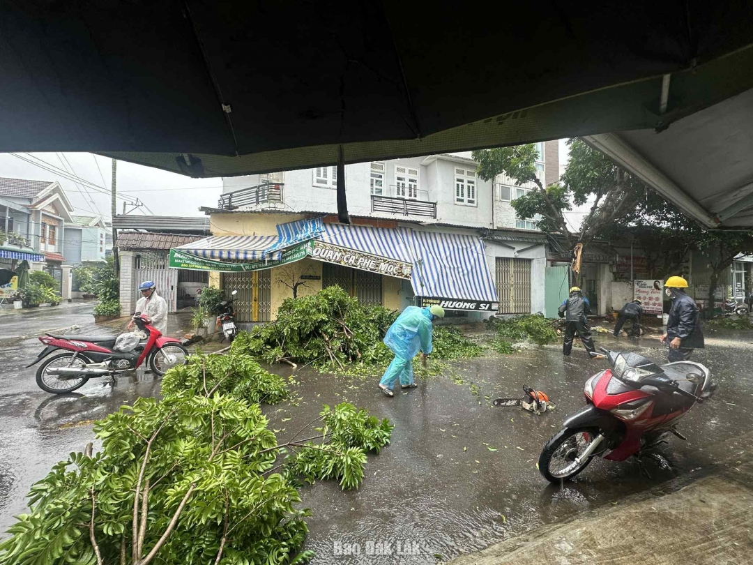 Cây xanh gãy đỗ trên đường Trần Cao Vân.