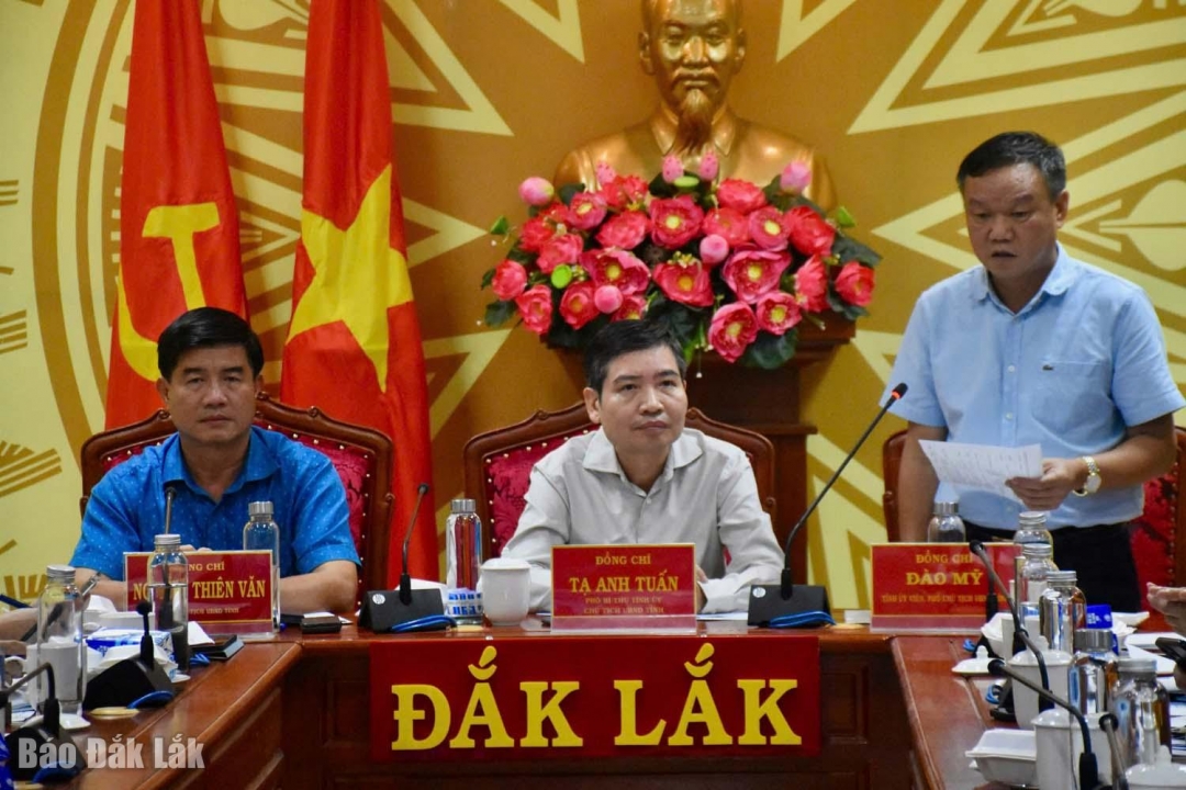 Phó Chủ tịch UBND tỉnh Đào Mỹ phát biểu chỉ đạo.