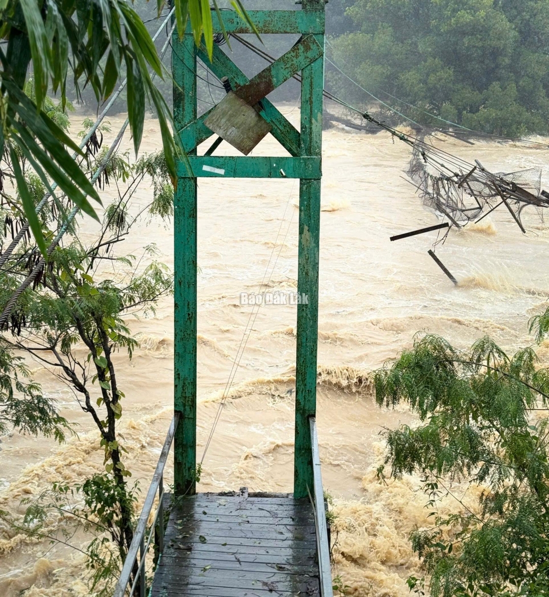 Nước dâng cao nhanh, chảy xiết, cuốn trôi cầu treo.
