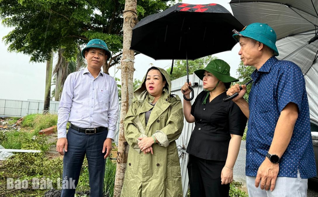 Đồng chí Cao Thị Hòa An (thứ hai từ trái qua) cùng lãnh đạo phường Tuy Hòa kiểm tra tại đoạn kè Bạch Đằng bị sạt lở.