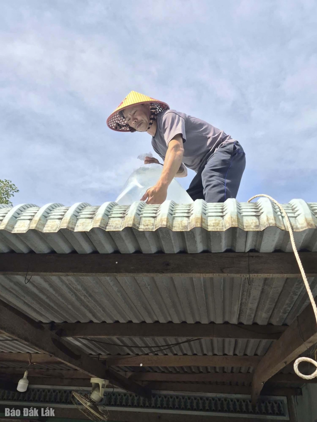 Đưa bịch nilon lên mái tôn để chằng chống.