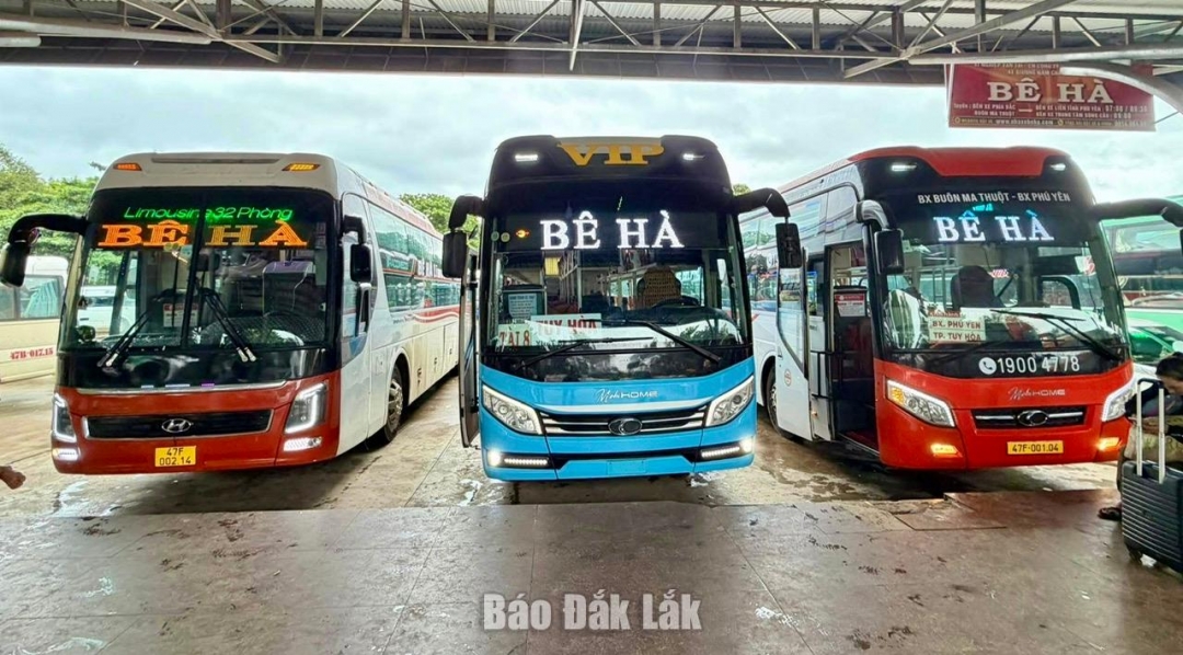Các phương tiện của nhà xe Bê Hà sẵn sàng cho chuyến xe 0 đồng.