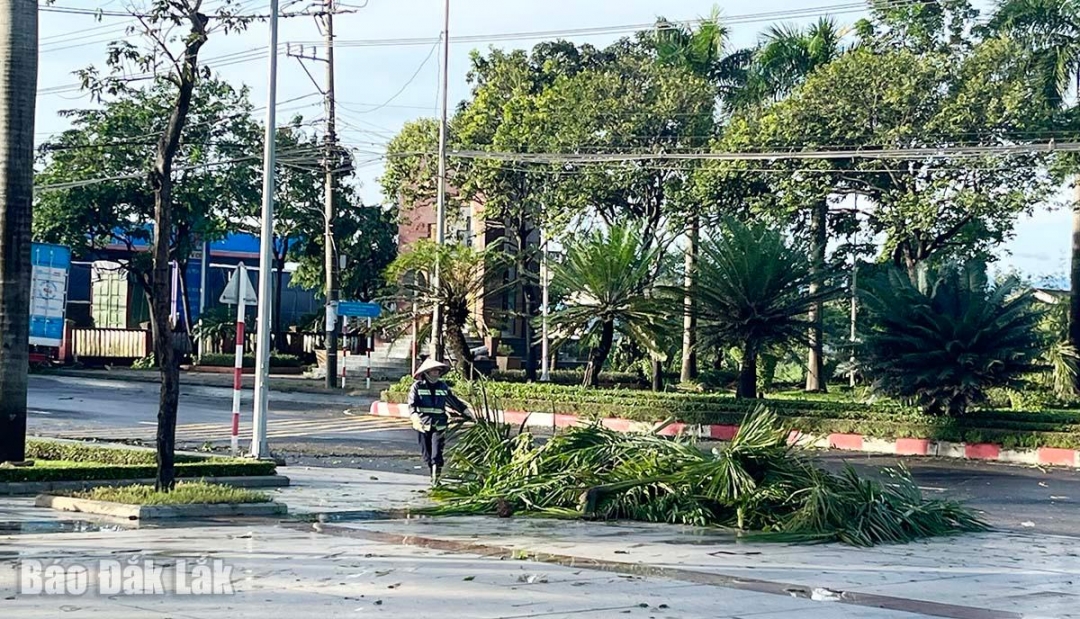 Công nhân vệ sinh dọn dẹp cây ngã đổ sau bão.