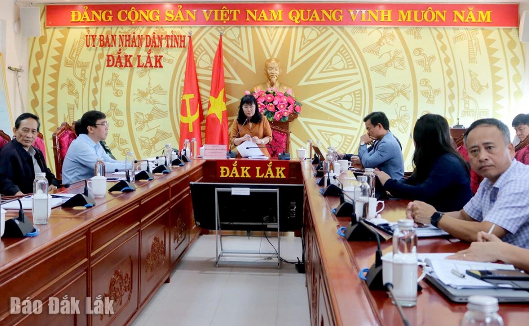 Phó Chủ tịch Thường trực UBND tỉnh Hồ Thị Nguyên Thảo phát biểu tại cuộc họp.