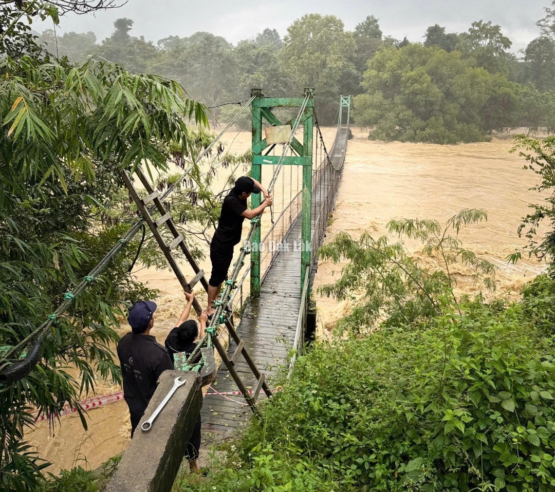 Sáng 21/11, nước trên sông dâng cao, nhân viên Khu du lịch Thác Dray Nur gia cố lại cầu treo.