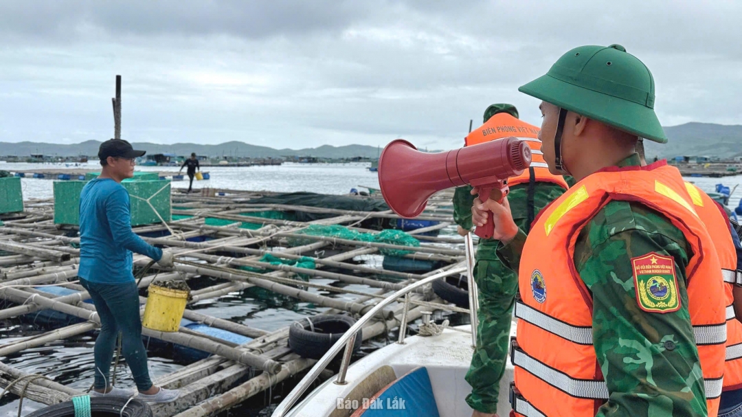 Lực lượng của Đồn Biên phòng Xuân Đài kêu gọi, vận động ngư dân trên các bè nuôi trồng thủy sản khẩn trương vào bờ tránh, trú bão. Ảnh: Bình Minh