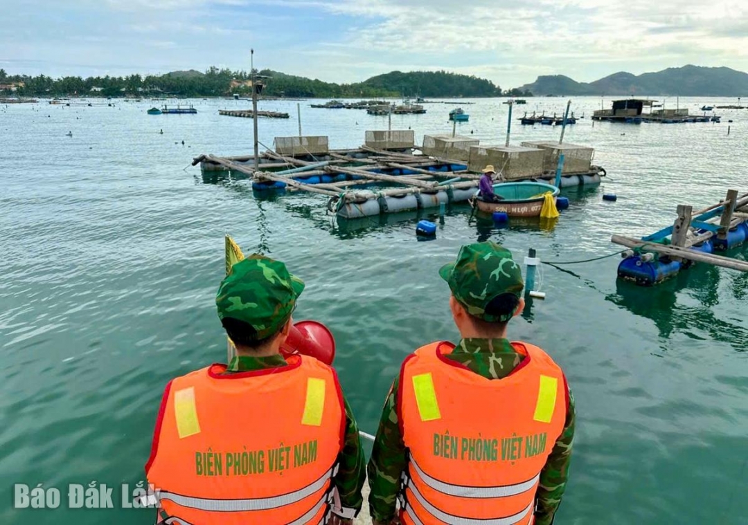 Cán bộ, chiến sĩ Đồn Biên phòng Xuân Hoà kêu gọi người dân giằng neo lồng bè nuôi tôm cá nhằm hạn chế tối đa thiệt hại khi bão vào. Ảnh: Đăng Vũ