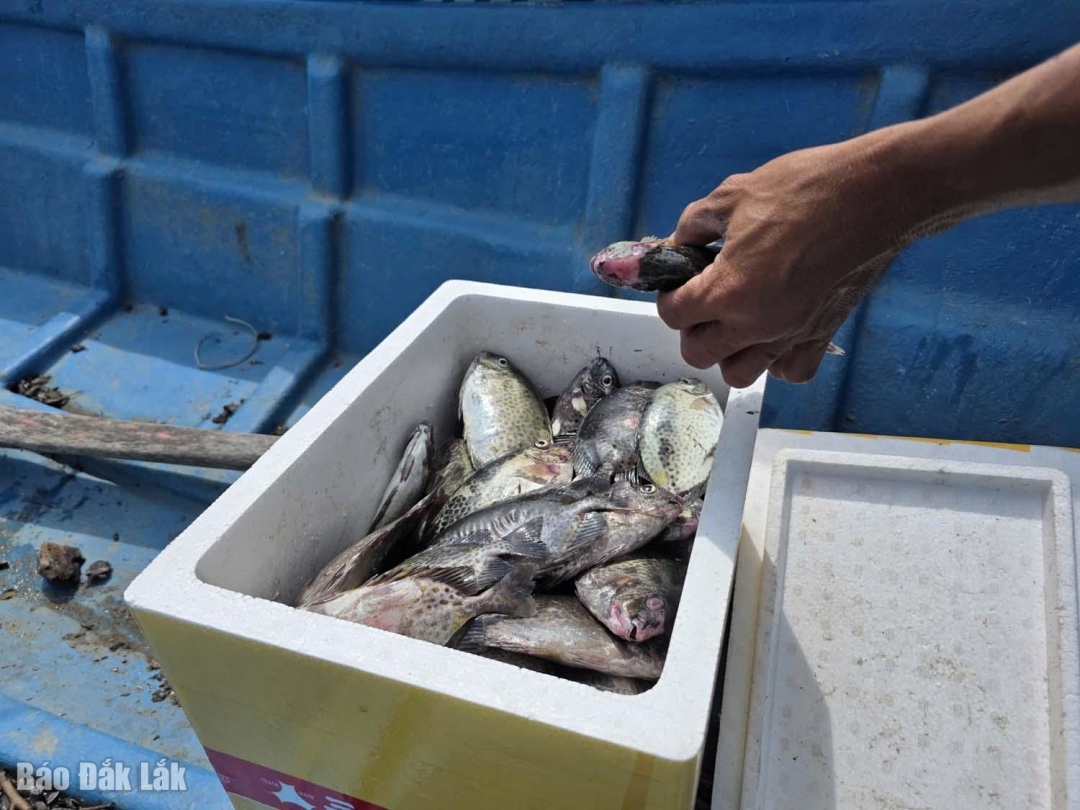 Hàng tỉ đồng đã trôi theo bão lũ.