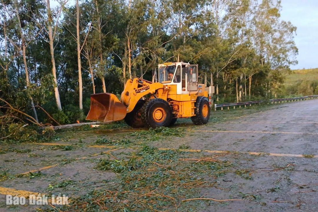 Các đơn vị tiếp tục công tác dọn dẹp cây bị ngã đổ trên các tuyến đường. Trong ảnh: Dọn dẹp cây bị ngã đổ trên ĐT.643.