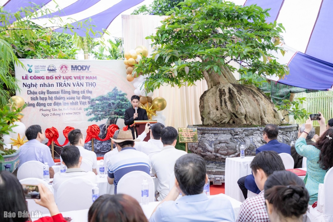 Tác phẩm bằng lăng cổ thụ của nghệ nhân Trần Văn Thọ được xác nhận kỷ lục Việt Nam