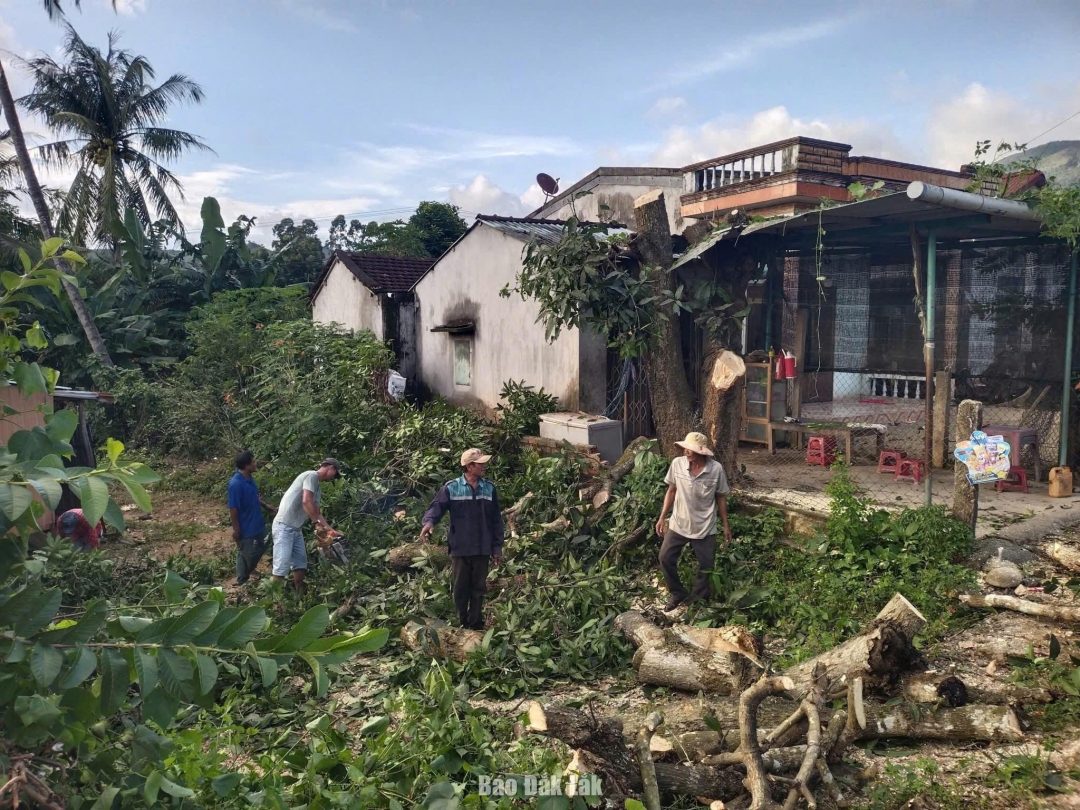 Dân quân tự vệ, đoàn viên thanh niên xã Xuân Lãnh giúp người dân cắt tỉa cây cối để phòng chống cơn bão số 13. Ảnh: Xuân Lãnh