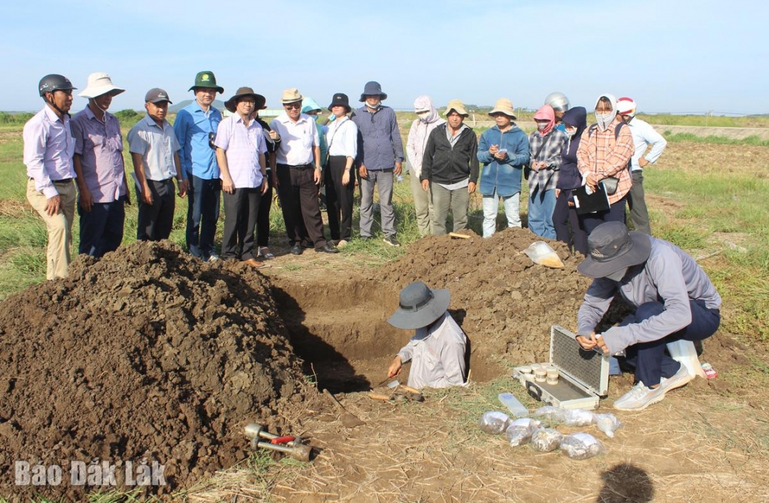 Nhóm nghiên cứu lấy mẫu đất ở xã Tuy An Bắc phục vụ xây dựng cơ sở dữ liệu số