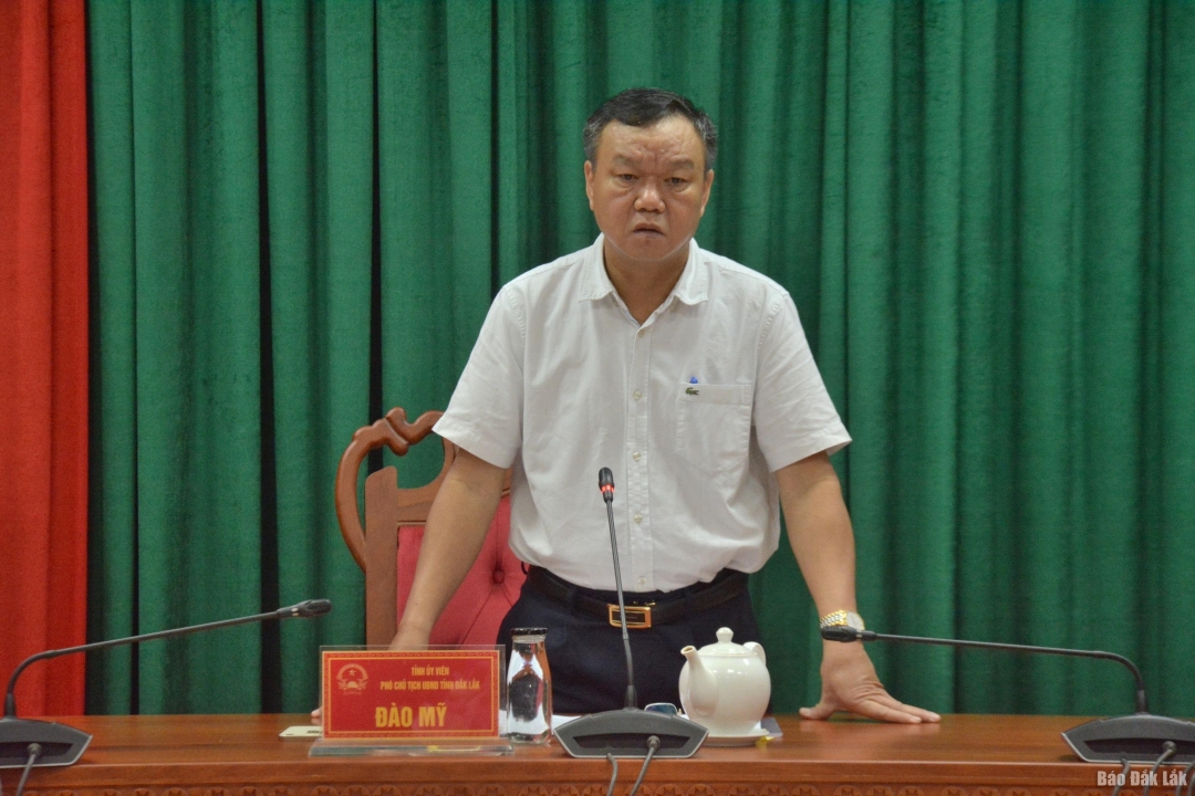 Đồng chí Đào Mỹ, Tỉnh ủy viên, Phó Chủ tịch UBND tỉnh, Trưởng Ban Chỉ đạo phát biểu tại cuộc họp.