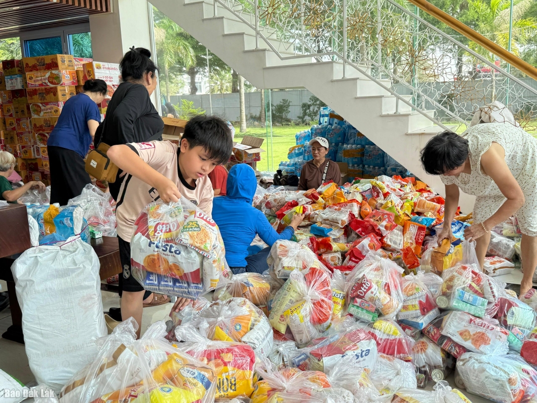 Trần Vũ Khanh, học sinh lớp 5, Trường Tiểu học Lạc Long Quân cùng bà ngoại tham gia vào hoạt động tiếp tế lương thực cho người dân vùng lũ.