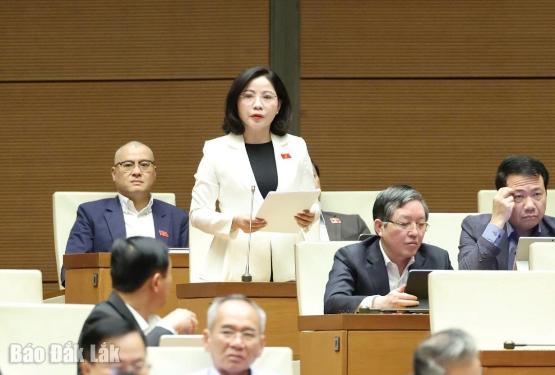 Phó Trưởng đoàn chuyên trách phụ trách Đoàn ĐBQH tỉnh Nguyễn Thị Thu Nguyệt phát biểu tại phiên làm việc. Ảnh: Đoàn ĐBQH tỉnh cung cấp
