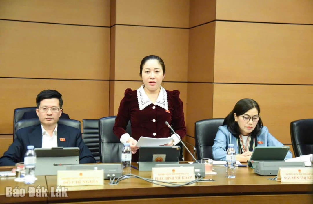 Đại biểu Phúc Bình Niê Kđăm, Phó Trưởng Ban Tuyên giáo và Dân vận Tỉnh ủy Đắk Lắk đóng góp ý kiến tại phiên thảo luận. Ảnh: Đoàn ĐBQH tỉnh cung cấp