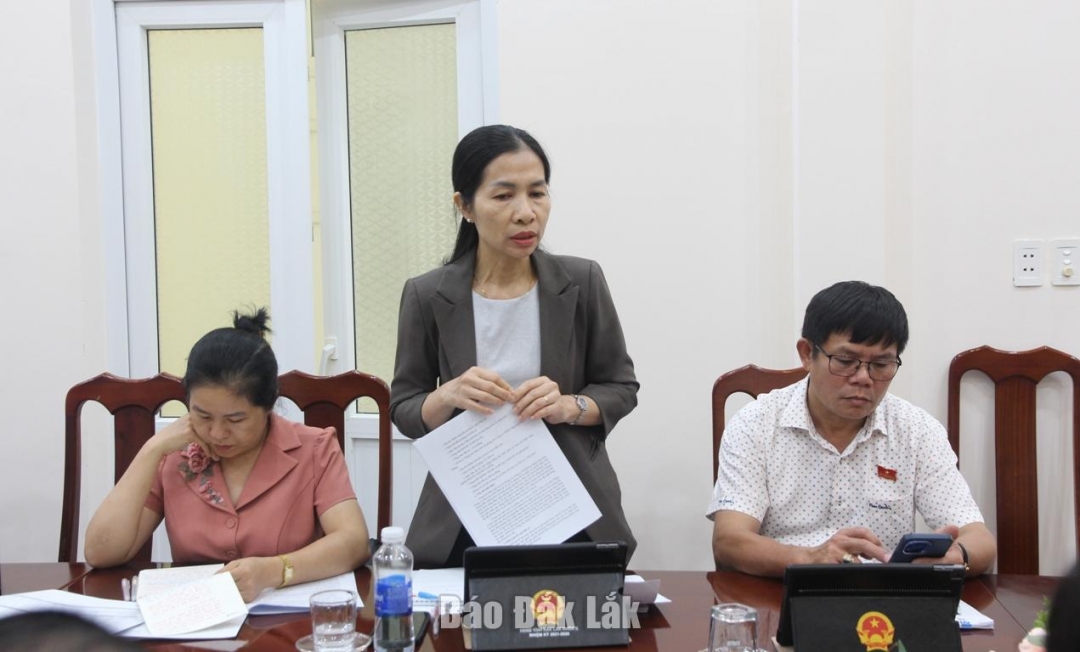 Trưởng Ban Pháp chế HĐND tỉnh Phạm Thị Phương Hoa phát biểu tại buổi giám sát.