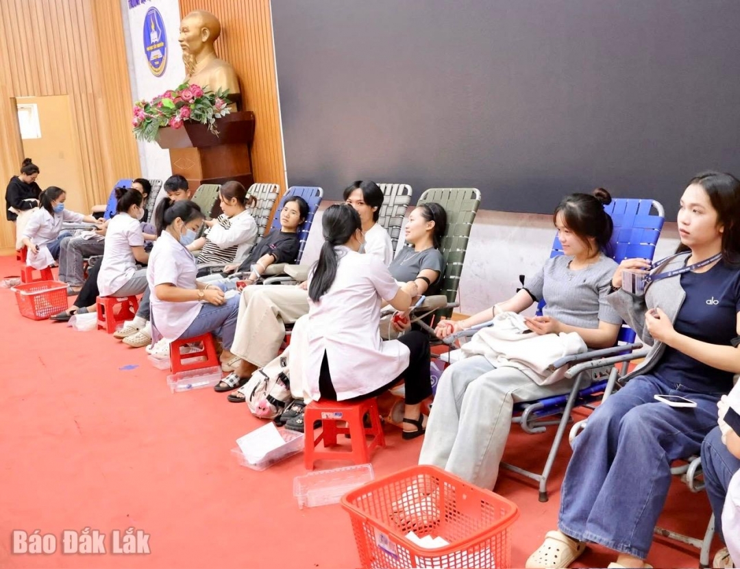 Đông đảo sinh viên Trường Đại học Tây Nguyên tham gia chương trình.