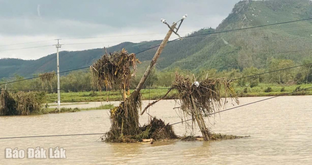 Lũ lụt làm hư hại nghiêm trọng hệ thống lưới điện trên địa bàn tỉnh.