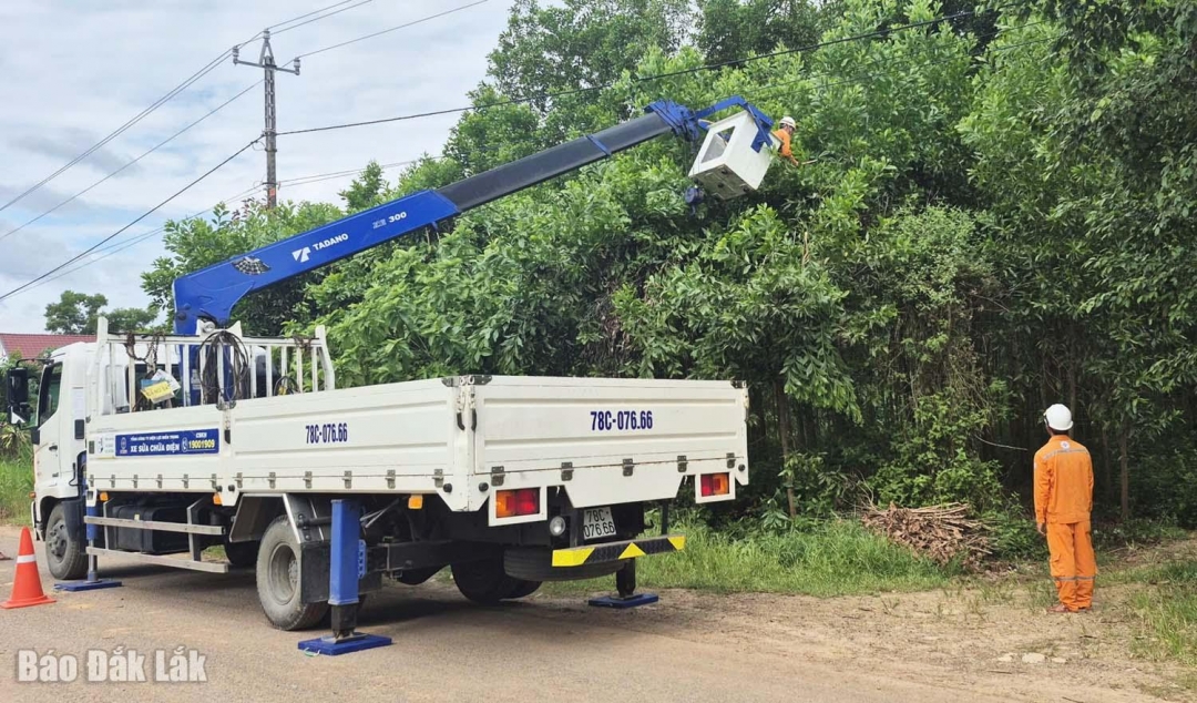 Đội Quản lý điện Tây Hòa phát quang hành lang tuyến đường dây.