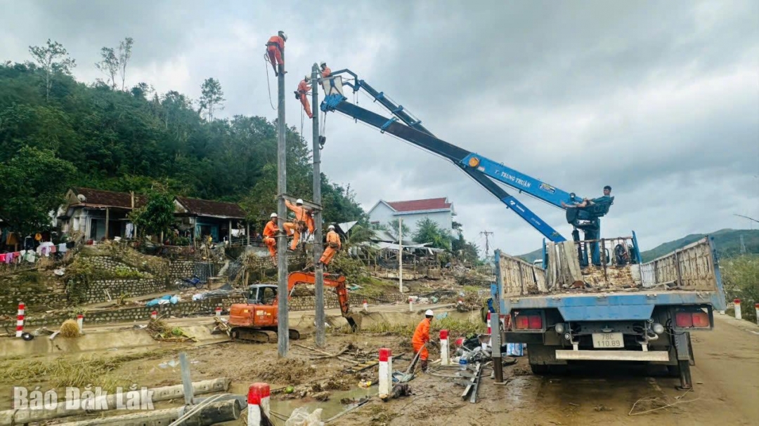 Công nhân Đội Quản lý điện Đông Hòa khaanarn trương khắc phục lưới.