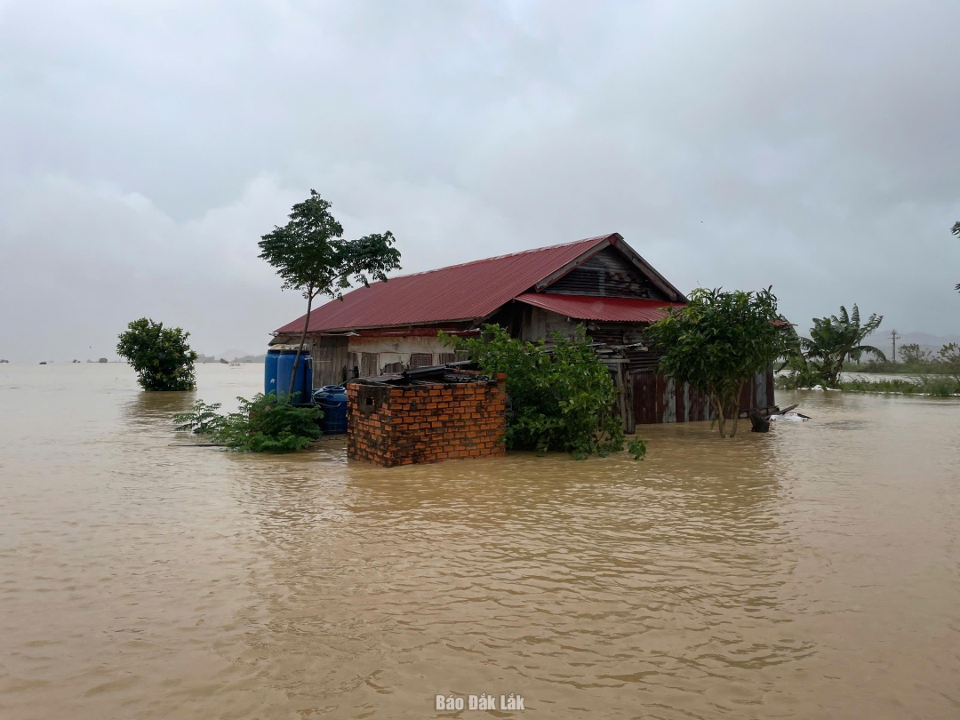 Một nhà dân trên địa bàn xã Đắk Liêng bị ngập, cô lập.
