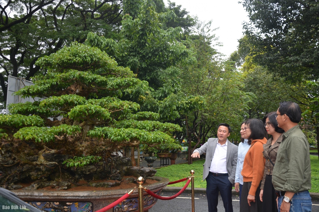 Hơn 3.000 tác phẩm trưng bày tại Triển lãm sinh vật cảnh tỉnh Đắk Lắk năm 2025