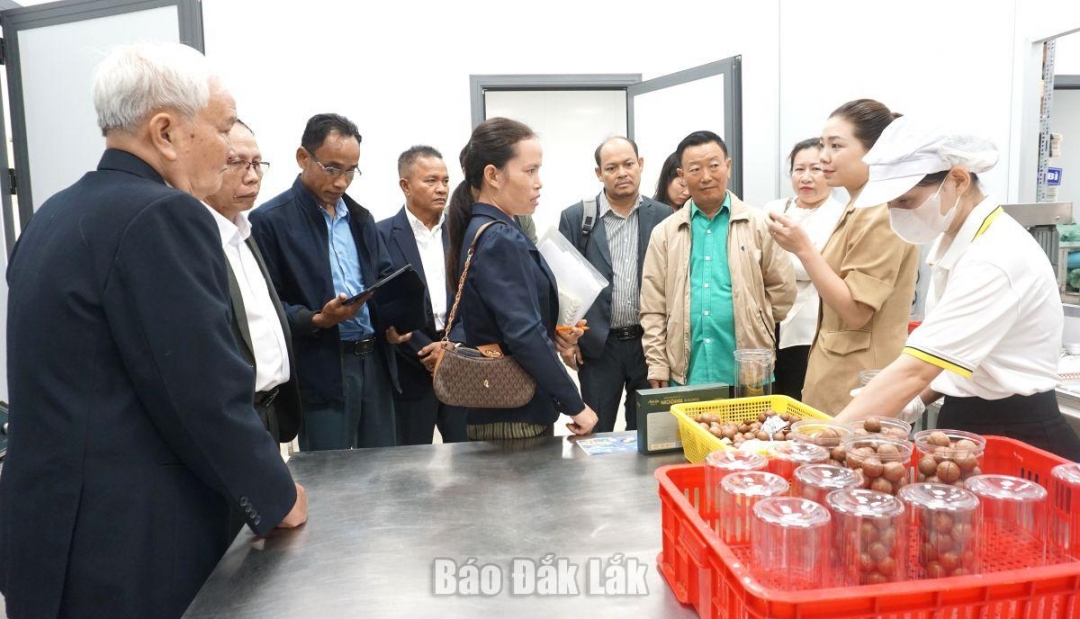 Đoàn công tác đã đến thăm, làm việc tại Công ty Cổ phần Xuất nhập khẩu Nutrisoil